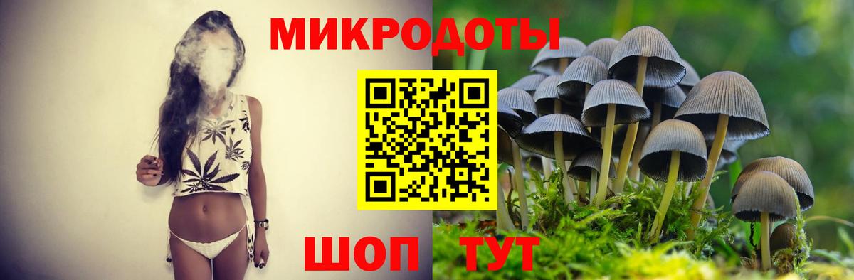 Волжск  где продают наркотики  Вход с VPN  Галлюциногенные грибы GOLDEN TEACHER 